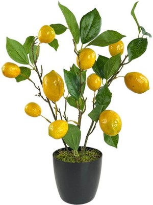 Nettenevime Yapay Limon Ağacı 40cm Gerçek Doku Siyah Plastik Saksılı Dekoratif Süs Çiçeği