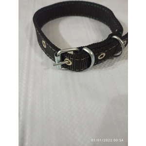 Lı Küçük Irk Köpek Tasmasi Boy 45-50 cm