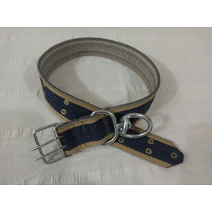 Lı Büyük Irk Yetişkin Köpek Tasmasi