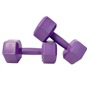 2 kg Altıgen Mor Dambıl Seti 2 kg x 2 Adet Toplam 4 kg Ağırlık Seti