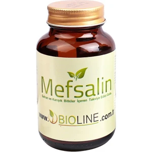 Mefsalin 500 Mg - 90 Tablet