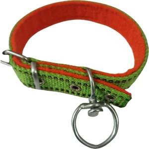 Orta Irk Köpek Tasmasi Boy 45-50 cm