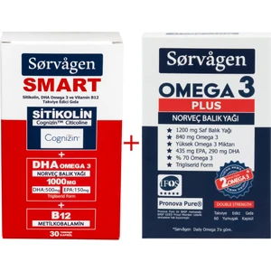Smart Sitikolin, Dha Omega 3, B12 (30 Kapsül) + Sorvagen Omega 3 Plus Norveç Balık Yağı