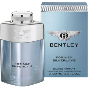 For Men Silverlake Edp 100 ml Erkek Parfümü