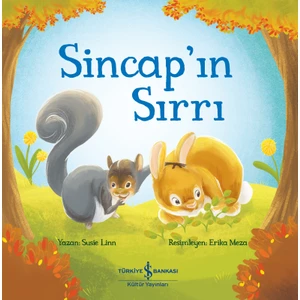 Sincap’ın Sırrı – Susie Linn
