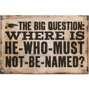 Sihir Dükkanı The Big Question Tabelası 36*23*5 cm Ahşap Uv Baskılı