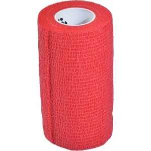 Esnek Bandaj Flexible Kırmızı 10 Cmx4,5m