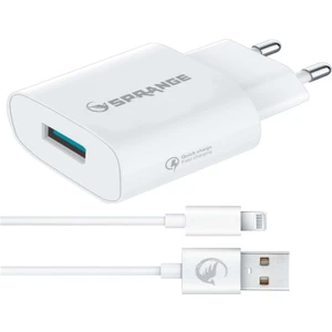 L-20 iPhone Uyumlu Lightning 10.5 Wolt Hızlı Şarj Cihazı Kablo Başlık Takım  X-Xs-11-12-13