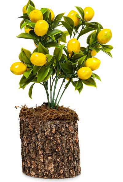 En Uygun Avm Dekoratif Yapay Limon Ağacı Sevgililer Günü