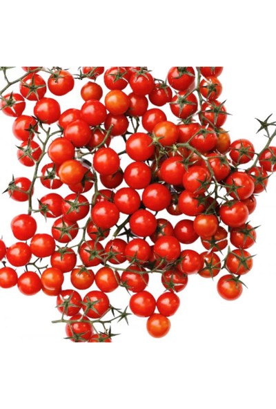 Paşa Tohumculuk Domates Cherry (Çeri) Tohumu 2gr - (400+ Adet Tohum) Paşa Tohumculuk Balıkesir