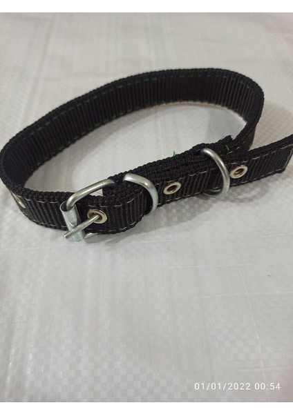 Lı Küçük Irk Köpek Tasmasi Boy 45-50 cm