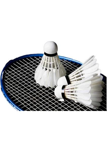 Okare Spor Badminton Filesi 6,10M x 75 cm - 1mm Ip Kalınlığı - 2x2 Göz Aralığı FLM56