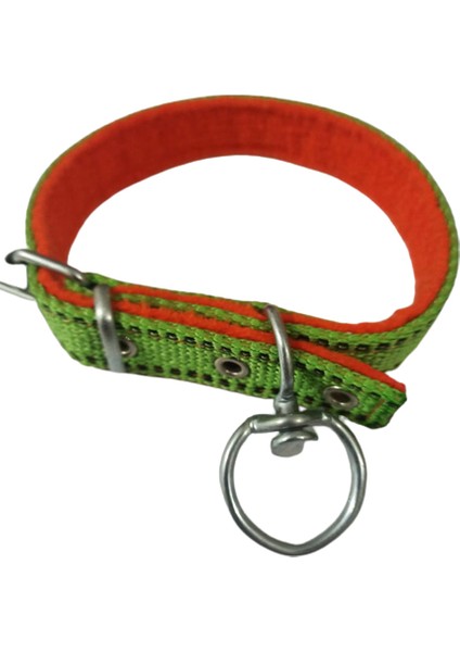 Orta Irk Köpek Tasmasi Boy 45-50 cm