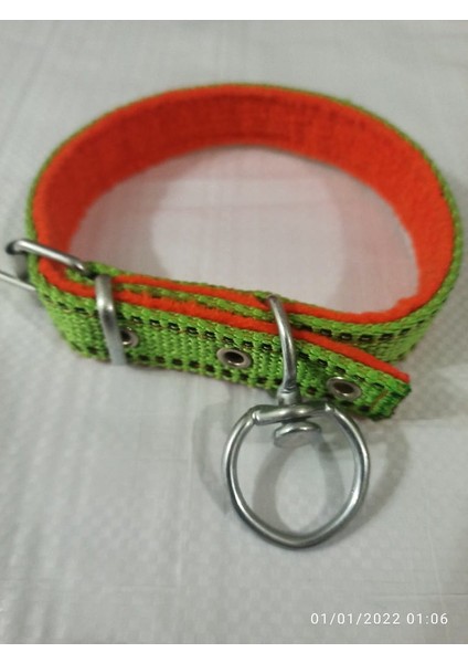 Orta Irk Köpek Tasmasi Boy 45-50 cm fiyatları