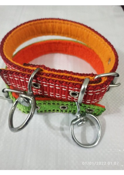 Orta Irk Köpek Tasmasi Boy 45-50 cm modelleri