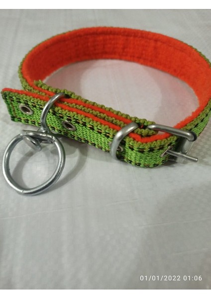 Orta Irk Köpek Tasmasi Boy 45-50 cm fırsatları