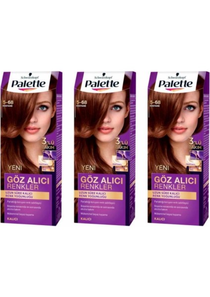 Saç Boyası 5-68 Kestane 3 Paket