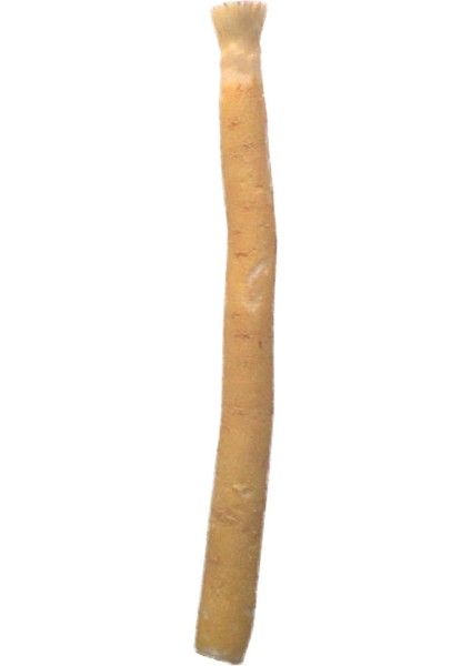 Medine Misvağı