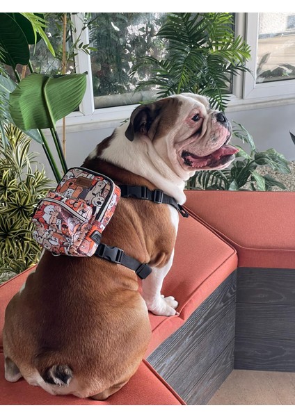 Köpek Sırt Çantası fiyatları