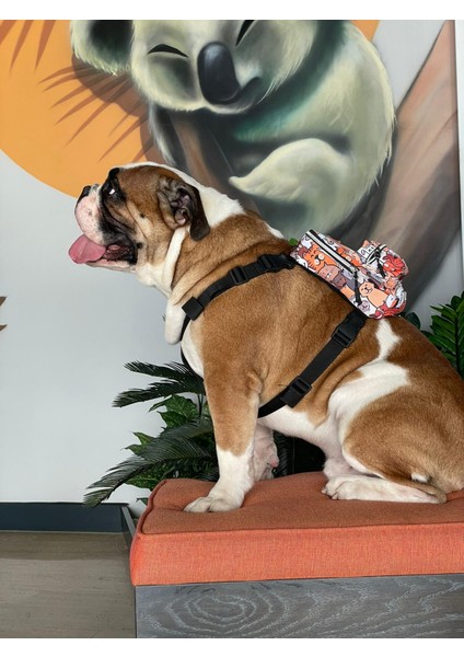 Köpek Sırt Çantası modelleri