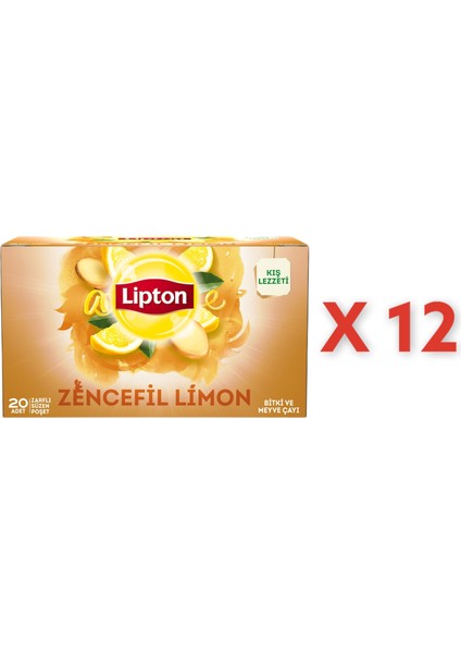 Zencefil Limon Bitki Süzen Bardak Poşet Çayı 20LI x 12 Adet