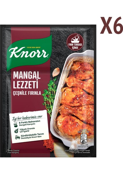 Fırında Tavuk Çeşnisi Mangal Lezzeti 29 gr x 6