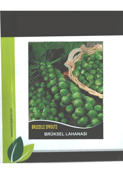 Brüksel Lahana Tohumu 125+ Adet Tohum Bürüksel Lahanası Notion Iklim Bahçe Tohumculuk