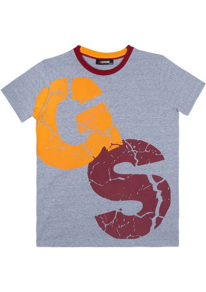 Galatasaray Çocuk Lisanslı Armalı Gri Tshirt