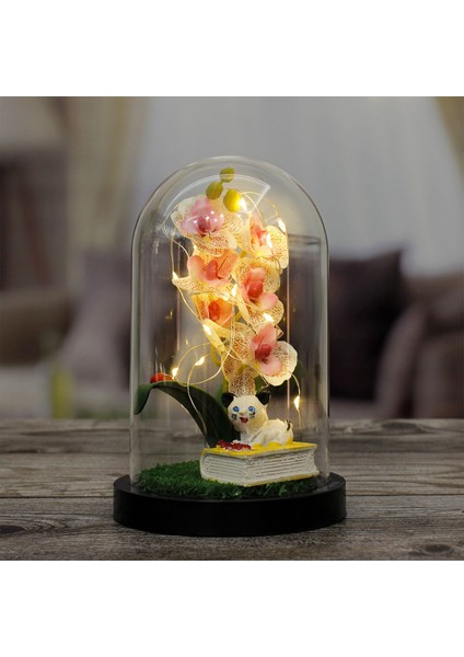 Orkide Altında Minik Kedi Kitap Üstünde Tasarımlı Işıklı Fanus (Pembe)