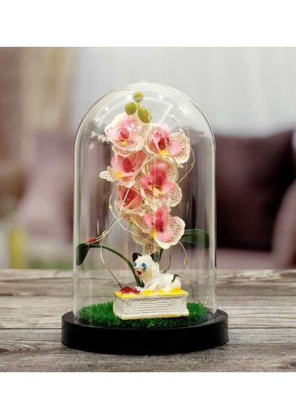 Orkide Altında Minik Kedi Kitap Üstünde Tasarımlı Işıklı Fanus (Pembe) fiyatları