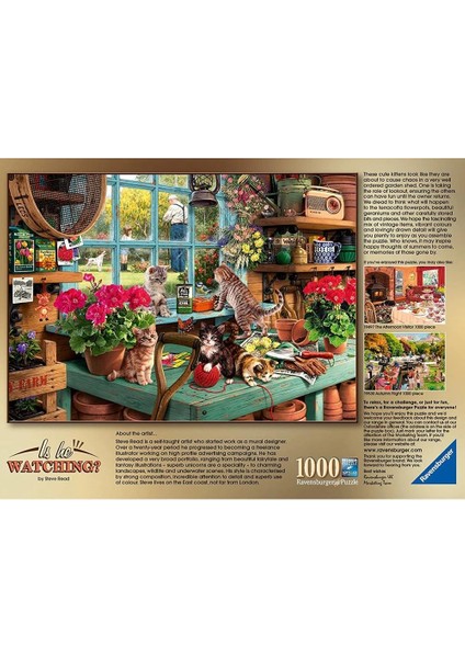 3D Parçalar Yapboz Pencere Kediler Yetişkin Çocuklar Için Yüksek Kalite En Iyi Hediyeler Dekompresyon Oyunu 70X50 cm AA168 59 | Model Yapı Kitleri