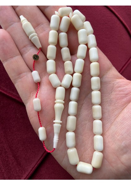 Doğal Narçıl Narçıl Hindistan Cevizi Özünün Fosilleşmiş Hali Ölçü 11,5 mm x 7 mm Mehmet Erbabacan Usta Imzalı Sistemli Mükemmel Tertemiz Işçilik Koleksiyonluk Günlük Çekim Çift Cilalı