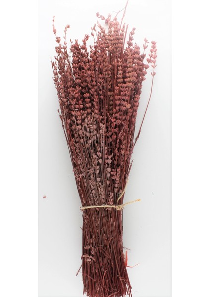 Kuru Çiçek Gerçek Şoklanmış Lavanta