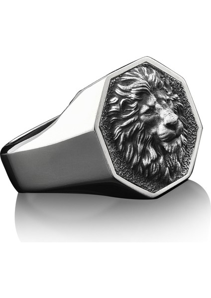 Vahşi Aslan Parlak Cilalı Gümüş Yüzük fiyatları