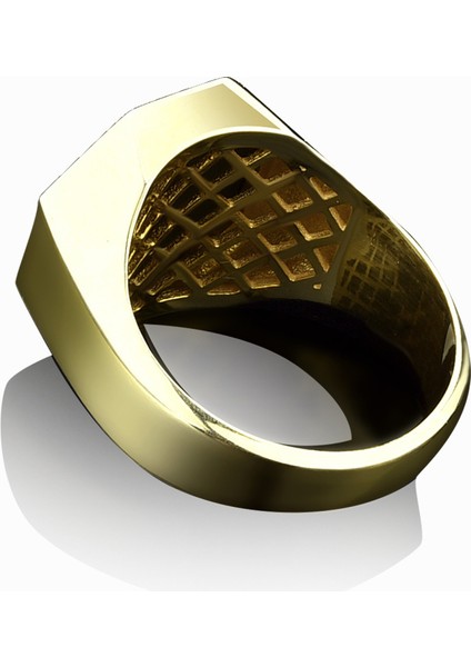 Vahşi Aslan Geometrik Altın Cilalı Gümüş Yüzük modelleri