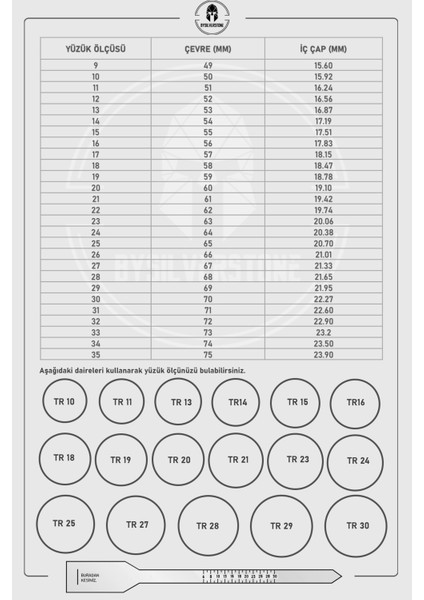 Mısırlı Firavun Parlak Cilalı Gümüş Yüzük