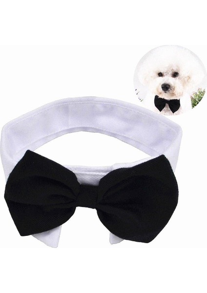 Pet Papyon Yaka, Resmi Köpek Kedi Boyun Yay Ayarlanabilir Kapatma Beyaz Yakalı (L, ​​black Beyaz) (Yurt Dışından)