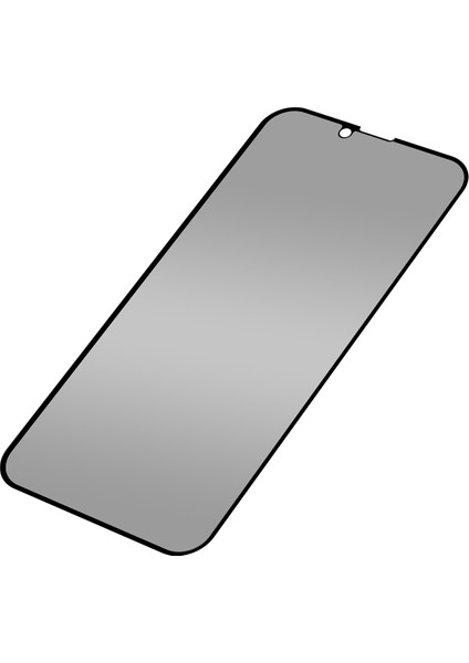 Hayalet Apple Iphone 13/13 Pro Ekran Koruyucu
