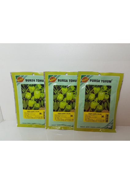 Kandil Biber Tohumu 3 Adet