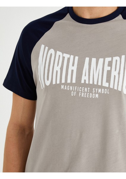 Erkek Standart Fit Reglan Kol Baskılı Tişört indirimleri