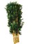 Yapay Bambu Ağaç Çubukları 1 Metre Boy 12 Adet 1 Demet Orjinal Bamboo Çubuk Çiçek Bitki 1