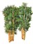 Yapay Bambu Ağaç Çubukları 1 Metre Boyunda 24 Adet 2 Bağ Orjinal Bamboo Çubuklar Çiçek 1