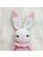 Amigurumi Tavşan Oyuncak Uyku Arkadaşı 2