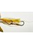 Risky Tairis 150 gr Tai Rubber Slider Jig #03 Natural Orange 3