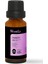 Karabaş Otu Taşıyıcı Yağı, 20 ml 1
