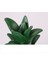 Reçine Ananas Kumbara Sevimli Hediye Ev Dekorasyon Nakit Para Tasarrufu Kutusu Yaratıcı Ev Para Kutusu Ananas Süs | Ev Para Kutusu (10 * 19 * 6 Cm) 2