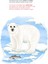 Sevimli Hayvanlar Iv - Cuddly Animals 3