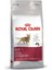 Royal Canin Fit 32 Yetişkin Kedi Maması 10 kg 1