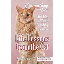 Chicken Soup For The Soul: Life Lessons From The Cat: 101 Tales Of Family, Friendship And Fun - Amy Newmark
