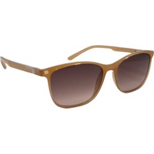 Esrada Unisex  Kahve Degrade Cam 313 2222 51-18-140